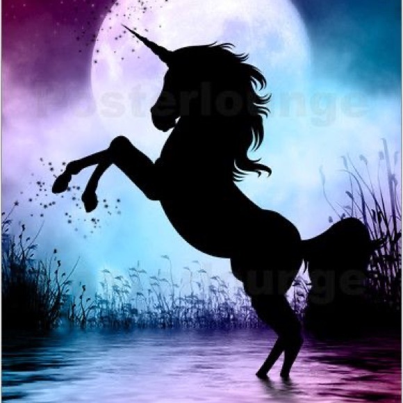 No.231 Random Auction - Picture 1 of 1